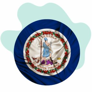 LLC formation guide in Virginia