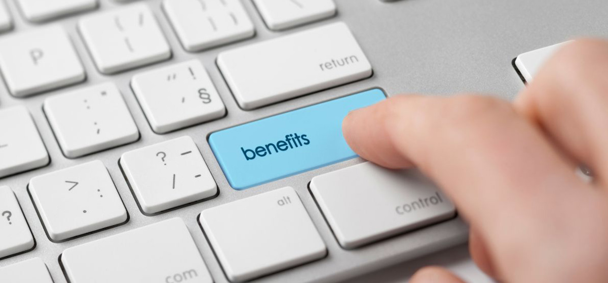 Maximizing the Benefits of Your Virginia LLC